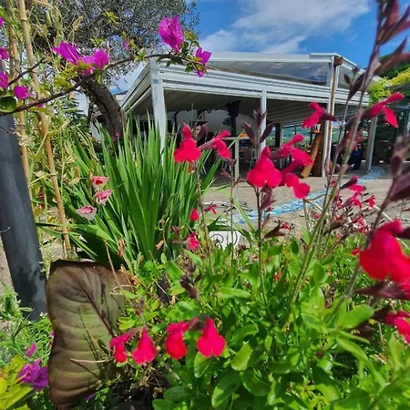 Re Piano I Fiori * Modigliana