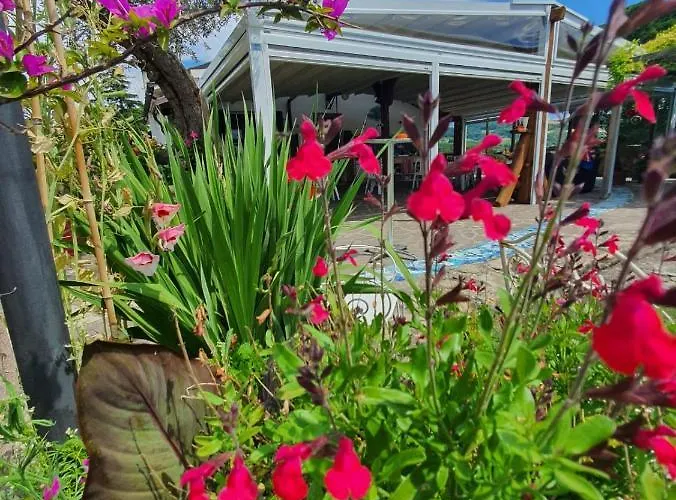 Re Piano I Fiori * Modigliana